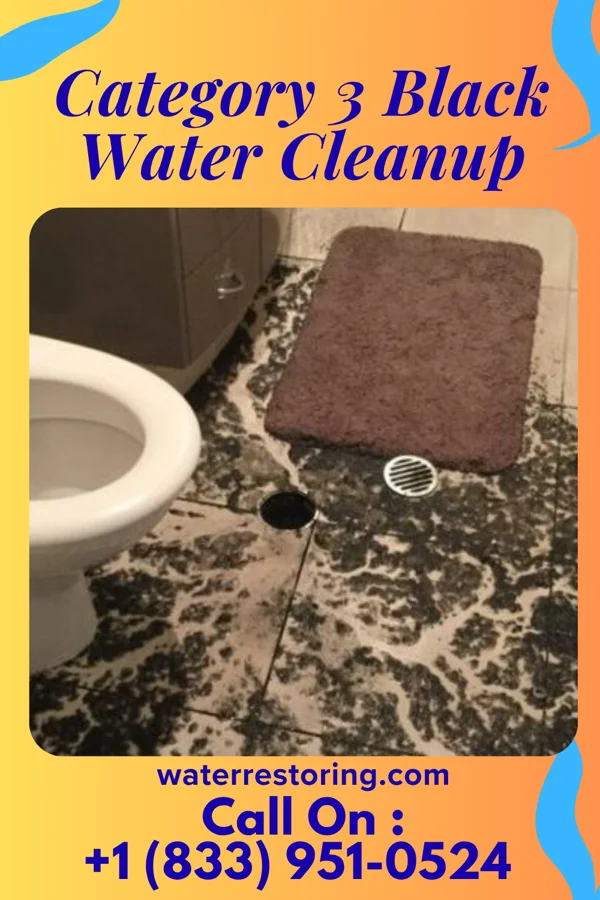 Category 3 Black Water Cleanup in Littleton, IL