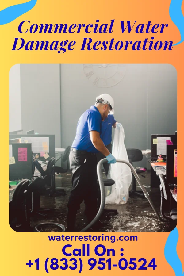 Commercial Water Damage Restoration in Littleton, IL