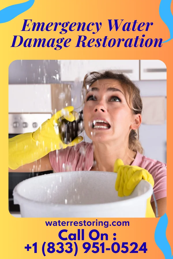Emergency Water Damage Restoration in Littleton, IL